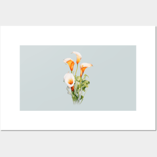 Floral Calla Lilly Posters and Art